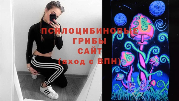шишки Михайловка