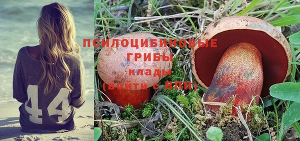 ешки Медвежьегорск