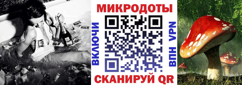 продажа наркотиков  Солигалич  Псилоцибиновые грибы мухоморы 