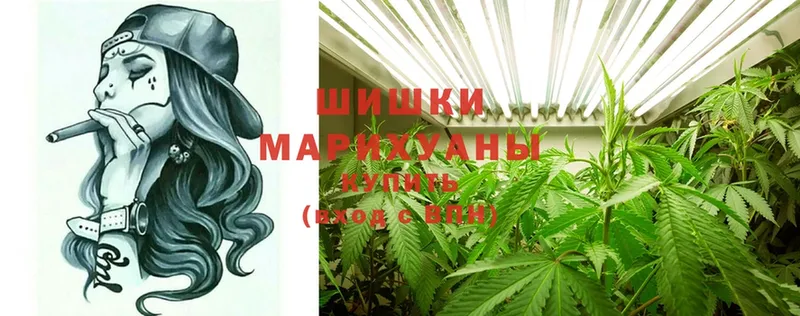 магазин продажи наркотиков  Солигалич  Канабис Ganja 